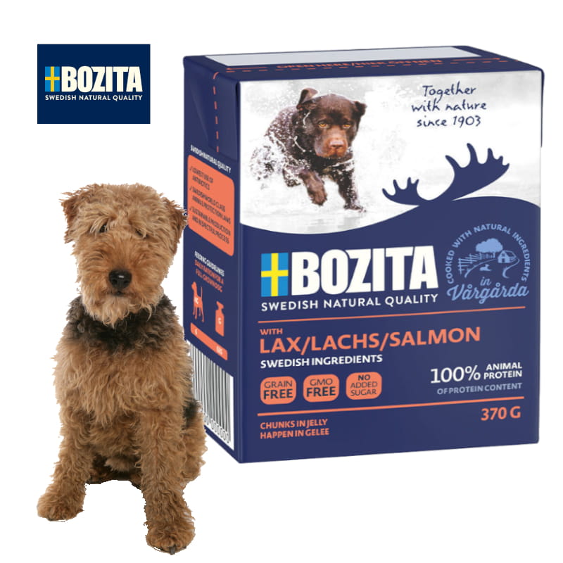 łosoś kartonik dla psa pies logo.jpg